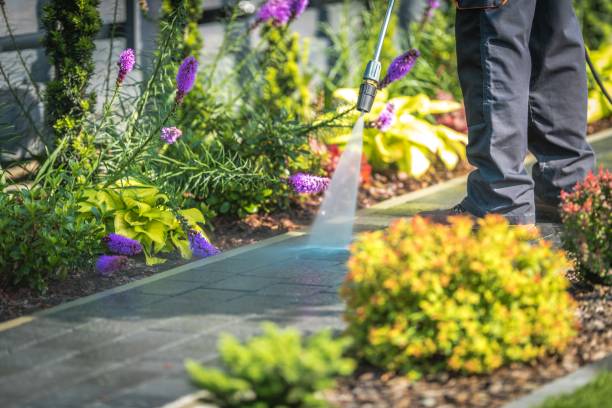 Best Concrete Surface Cleaning in Mineralwells, WV